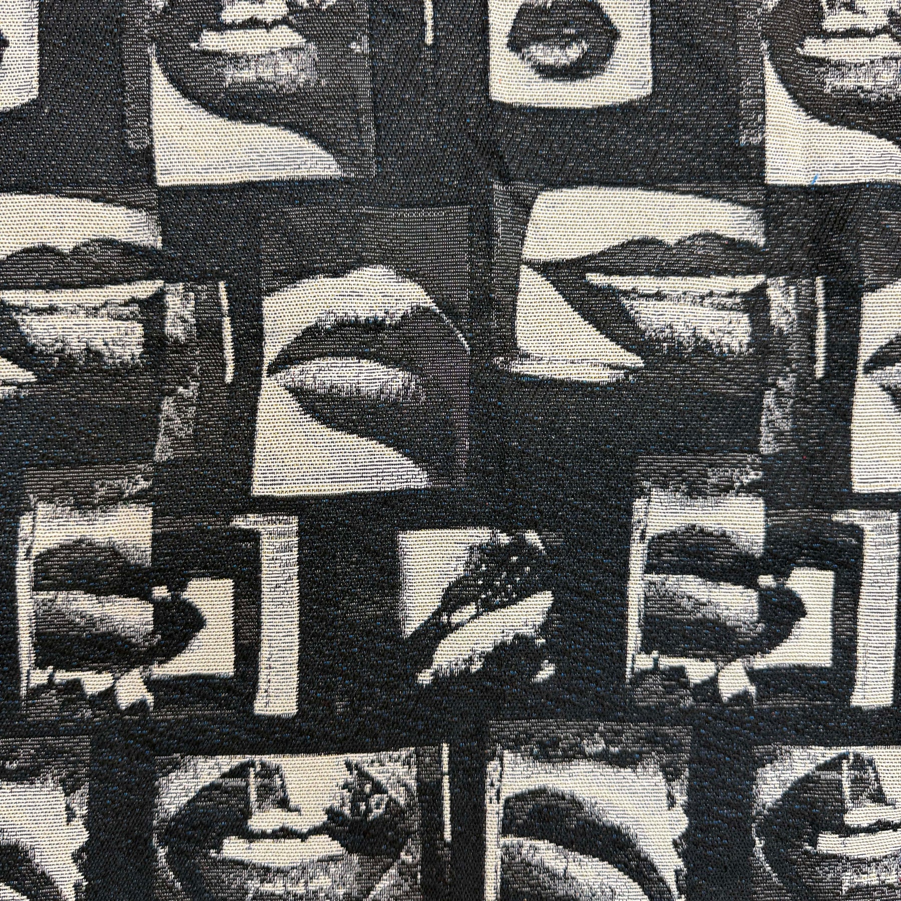 LIPS TAPESTRY JACKET