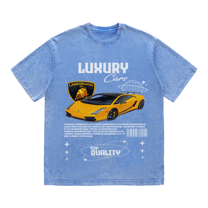 RDMCLOTHINGART tapestry hoodie LAMBORGHINI 00 HEAVY WEIGHT COTTON TEE-9100