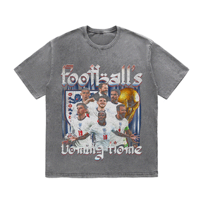 RDMCLOTHINGART tapestry hoodie THREE LIONS HEAVY WEIGHT COTTON TEE-8984